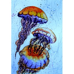 G274 / Jellyfish
