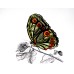 Butterfly G334