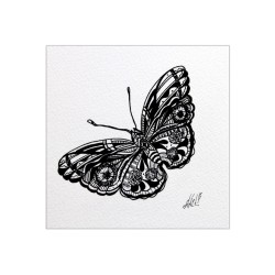 Butterfly G233