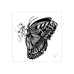 Butterfly G234