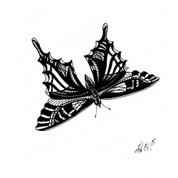 Butterfly G236