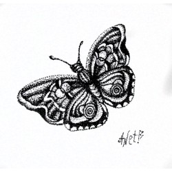 Butterfly G239