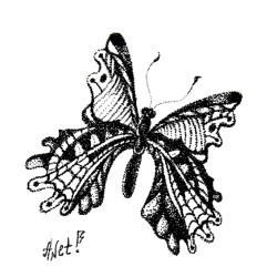 Butterfly G242
