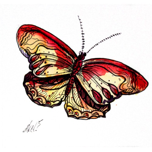 Butterfly G248