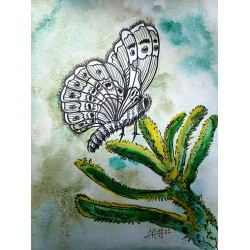 Butterfly G342
