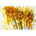 G603 / Narcissus Flower