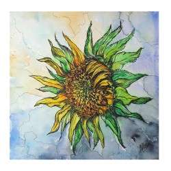 G427 Sunflower